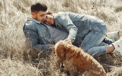 Fall Reset: Simple Shifts to Support Your Hormones Before the Holidays